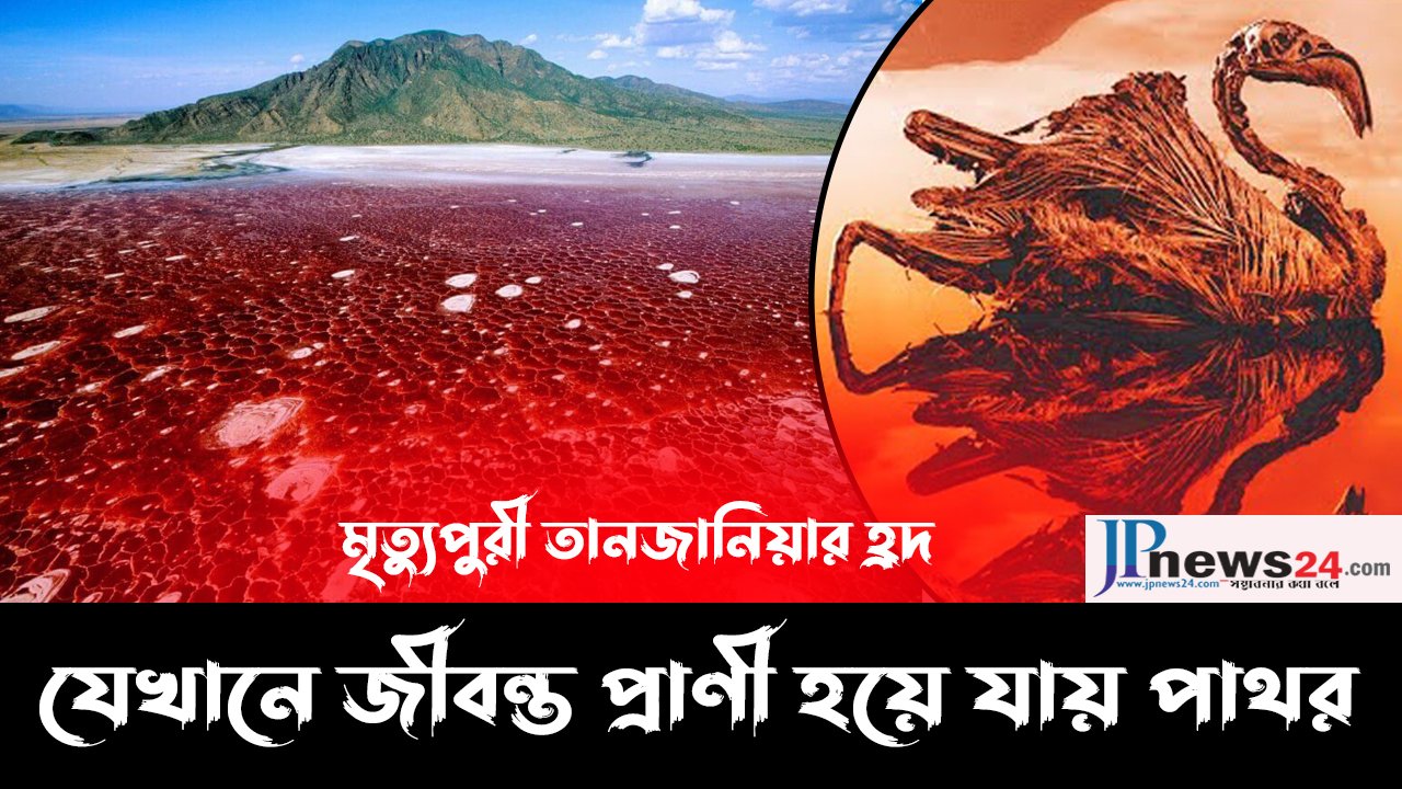 মৃত্যুপুরী তানজানিয়ার হ্রদ | যেখানে জীবন্ত প্রাণী হয়ে যায় পাথর